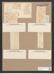 Pleurosigma eximium (Thwait.) (de-Toni-Nr.: Genus 13, Species 1097) Zeichnungen Sammlung Grunow Nr. 2135 (NHMW-BOT-W0369173)